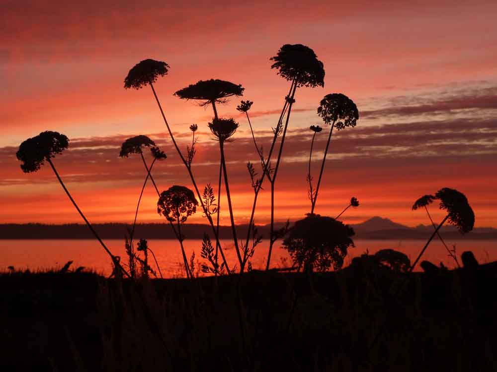 Early Morning Sunrise